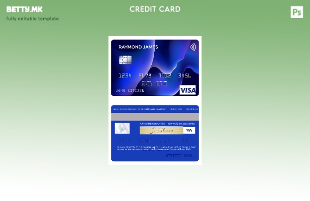 Модерен стил на САД Рејмонд Џејмс финансиска банка шаблон виза картичка